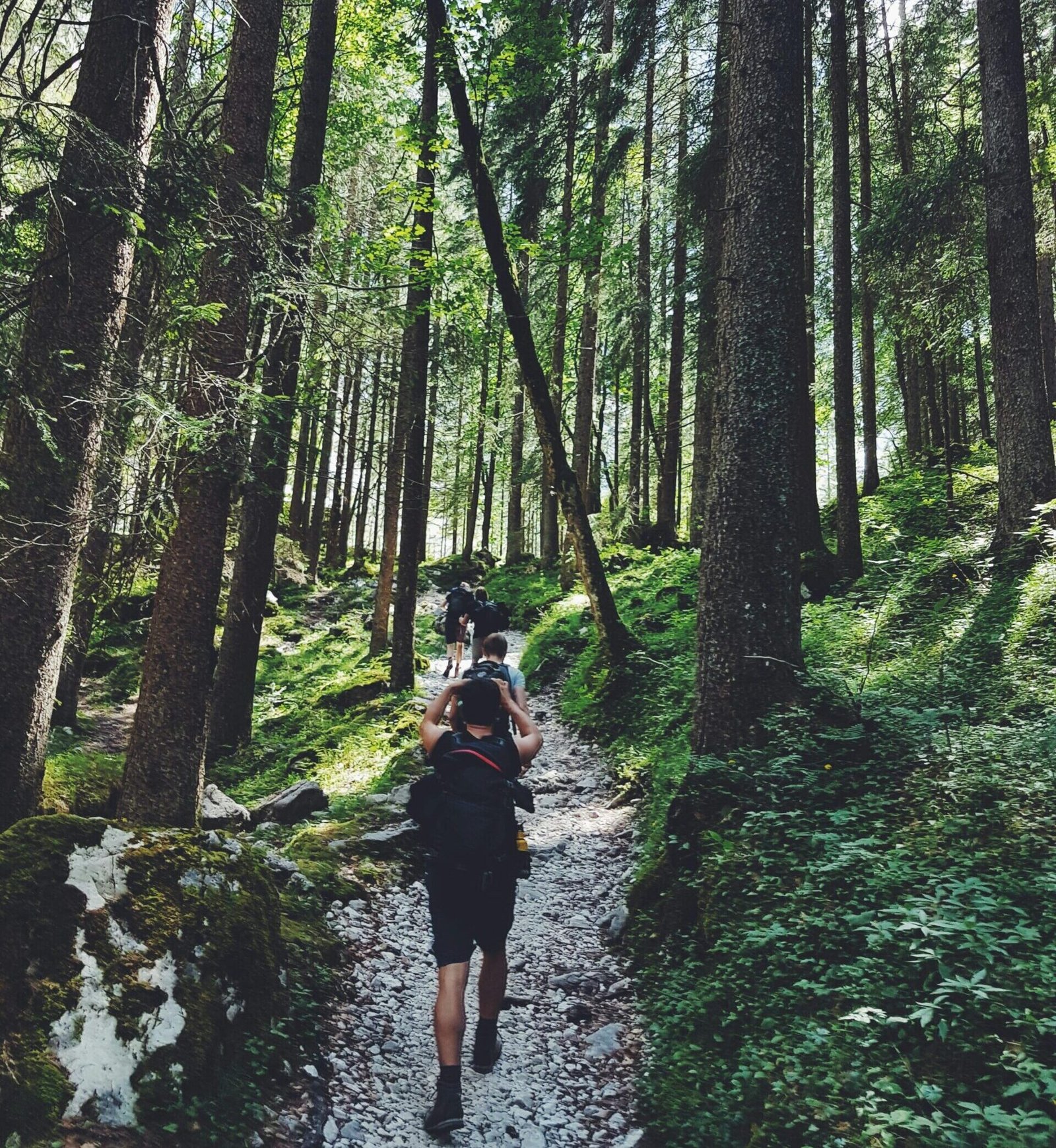 Group-of-people-hiking-in-forest-trail
