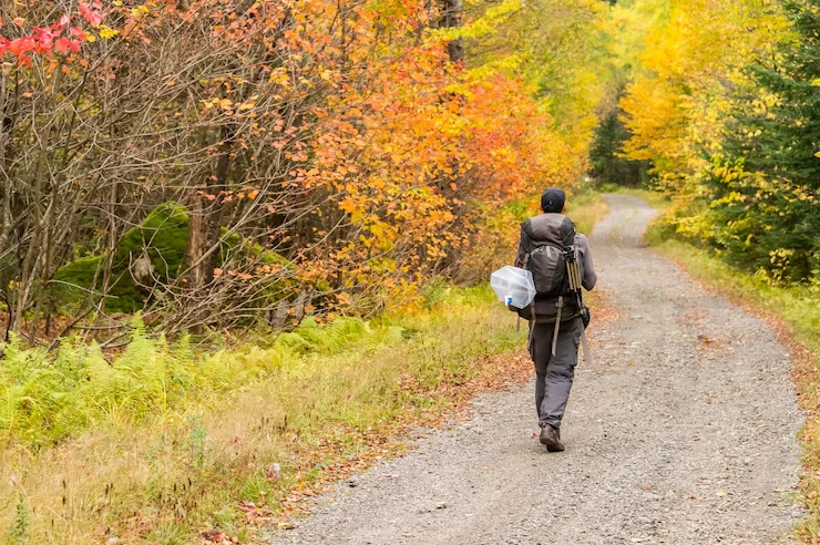 "hiker-walking-on-trail-in-fall-forest